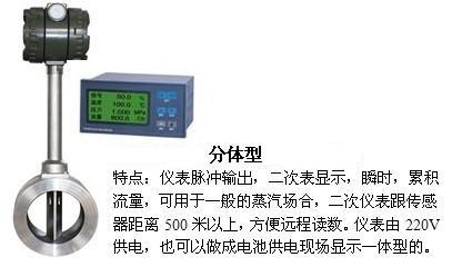 高溫渦街流量計分體型產品圖